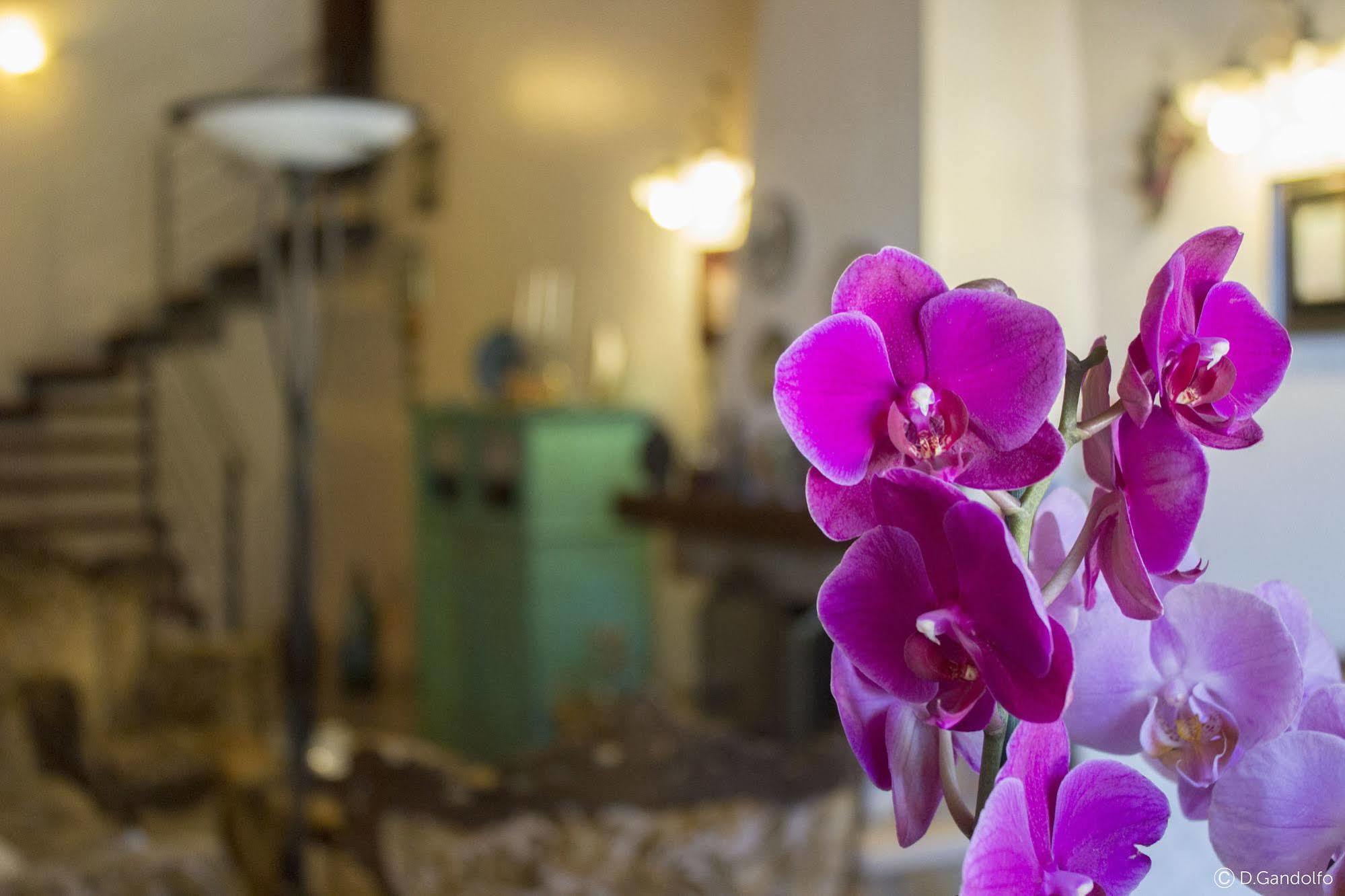 Villa Gagliardetta 卡斯泰拉马莱 外观 照片